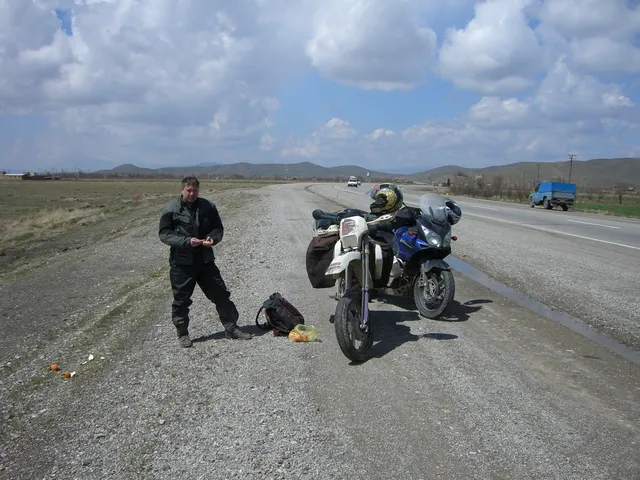 Suzuki Stories Mark Dielissen