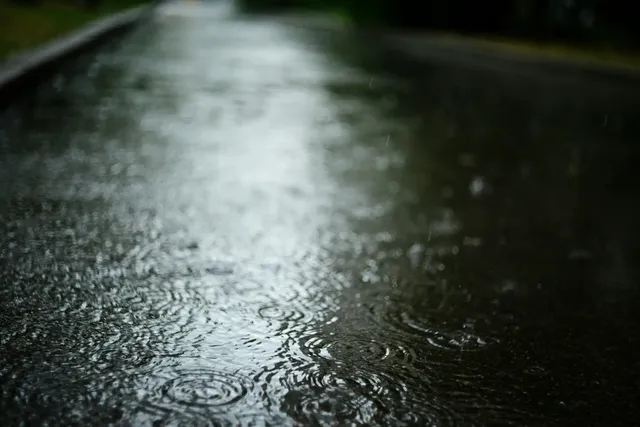 liana-s-cmMXnCmxh5k-unsplash