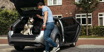Met je hond in de auto veilig de weg op