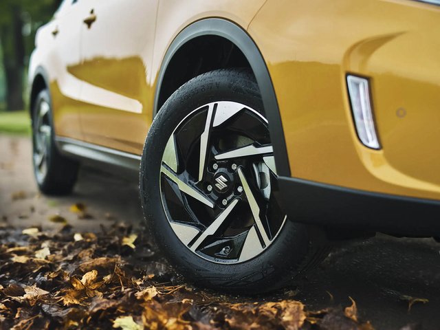 SUZUKI_AS_06_herfstcheck