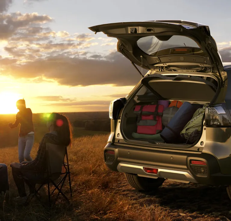 Voordelen van *reizen met de auto*