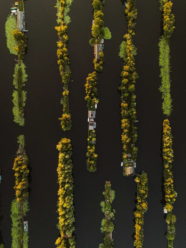 yente-van-eynde-8uDEGh2x3ss-unsplash