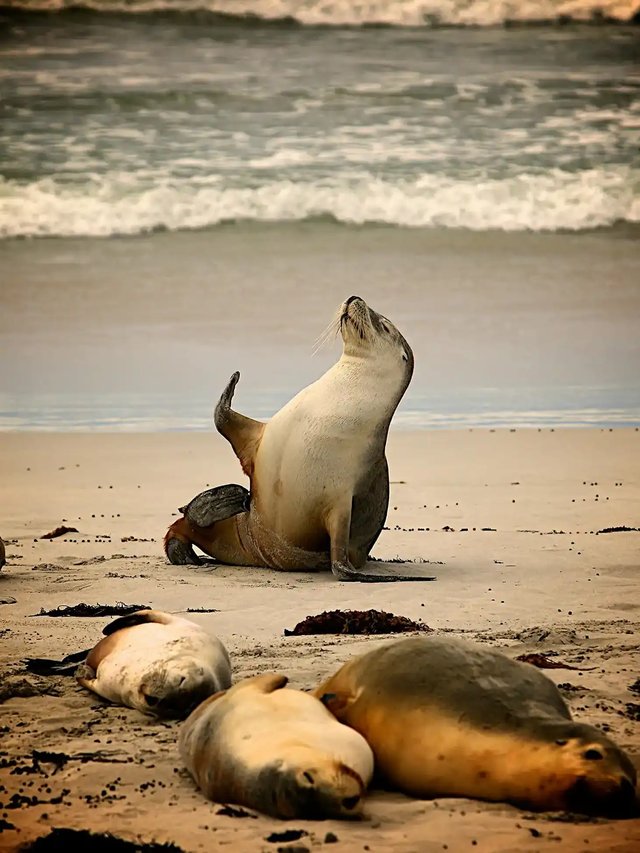 pexels-pascalr-105819