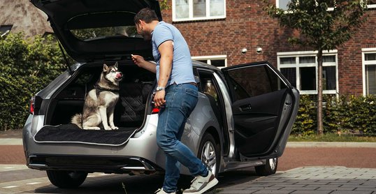 Met je hond in de auto veilig de weg op