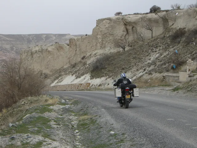 Suzuki Stories Mark Dielissen