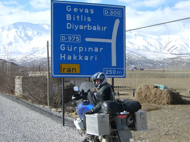 Suzuki Stories Mark Dielissen