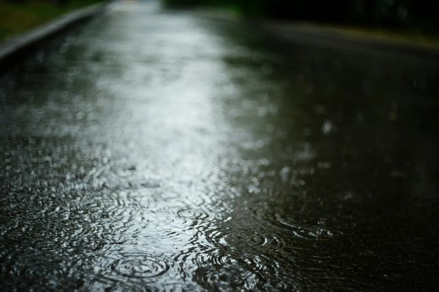 liana-s-cmMXnCmxh5k-unsplash