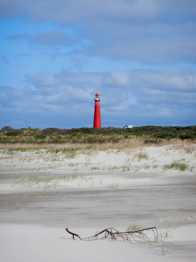 erwin-bongaerts-C1zVM-Swy44-unsplash