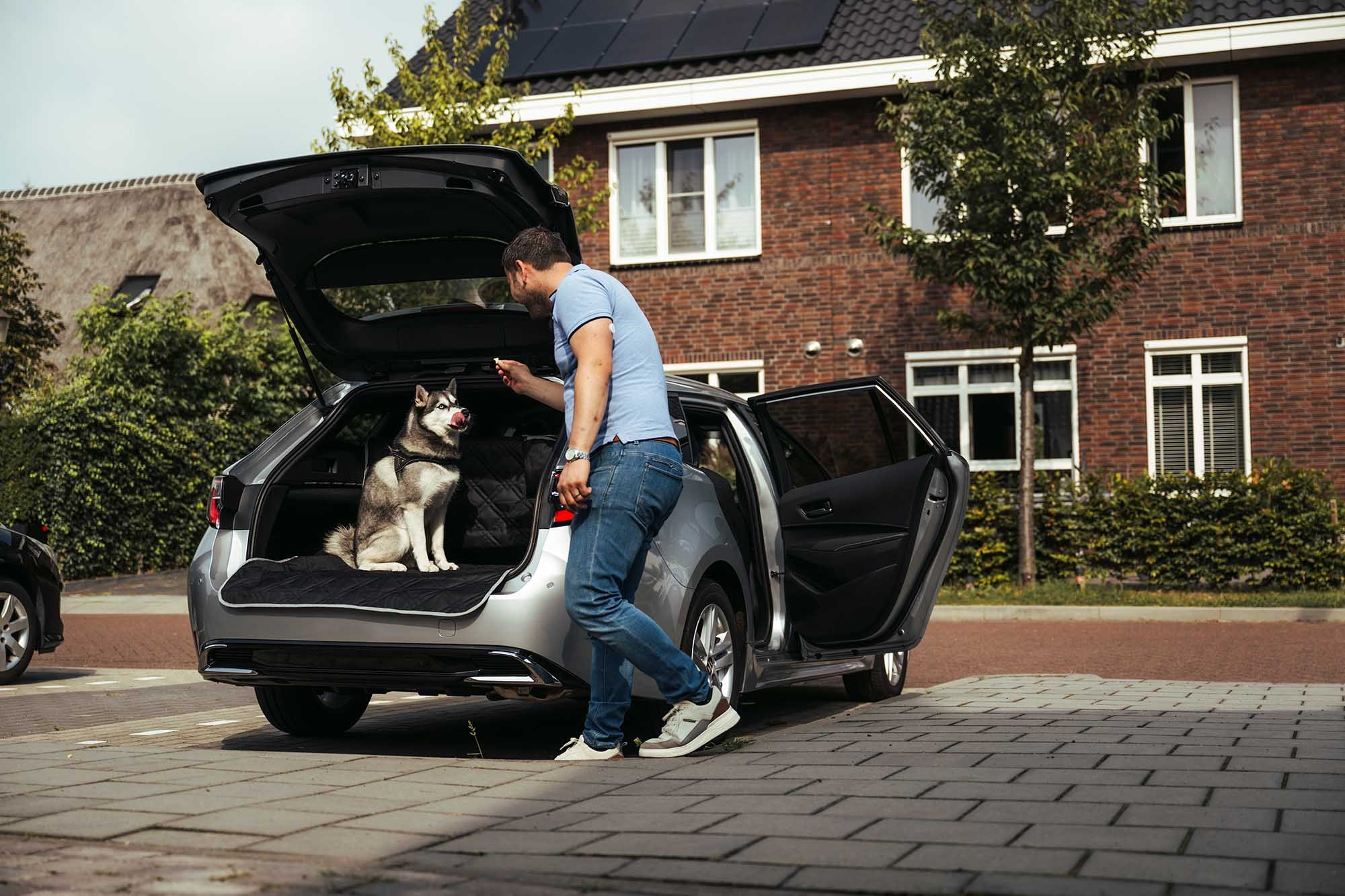 Hond Rumble Automatic Met je hond in de auto veilig de weg op| Suzuki blog | Suzuki auto