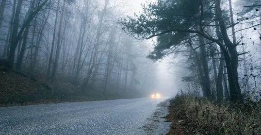 Vergeten verkeersregels