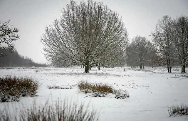 pexels-elger-toss-2148182888-30172316