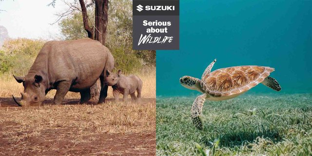 Suzuki_Serious_about_Wildlife_rhino_turtle_logo
