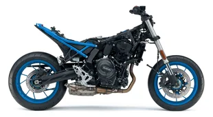 Suzuki_GSX800RQM3_strip_1