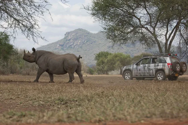 Suzuki_Serious_About_Wildlife_Rhino_car