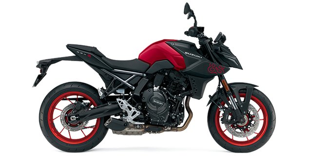 11440_BNR_LV_GSX800RQM6_right_690x345