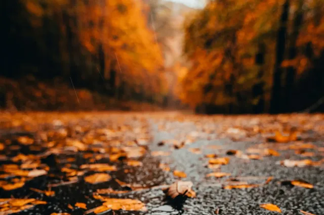 pexels-cottonbro-5195498 kopie